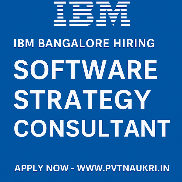 software consultant